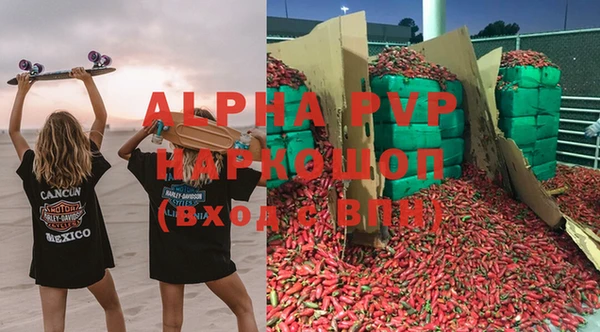 spice Аркадак