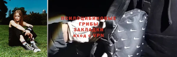 spice Аркадак