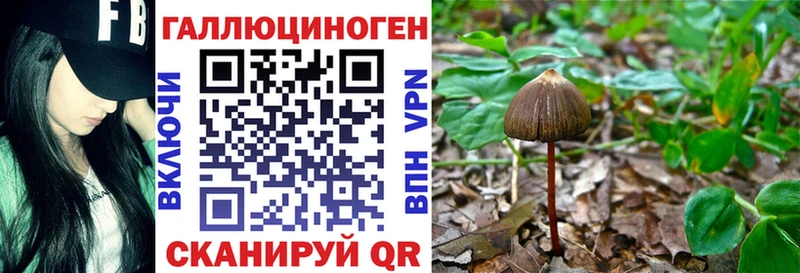 MEGA ТОР  наркошоп  Строитель  Галлюциногенные грибы прущие грибы 
